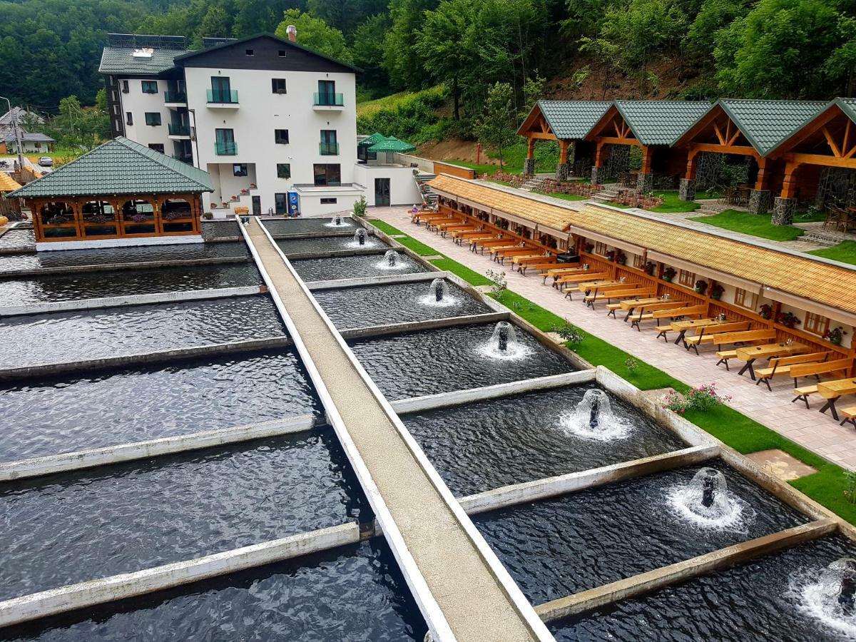 Lostrita - Pastravarie, Hotel & Spa Baia Mare Exterior foto